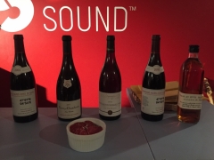 vins-debourgogne-degustationparis-burgundywinein-paris